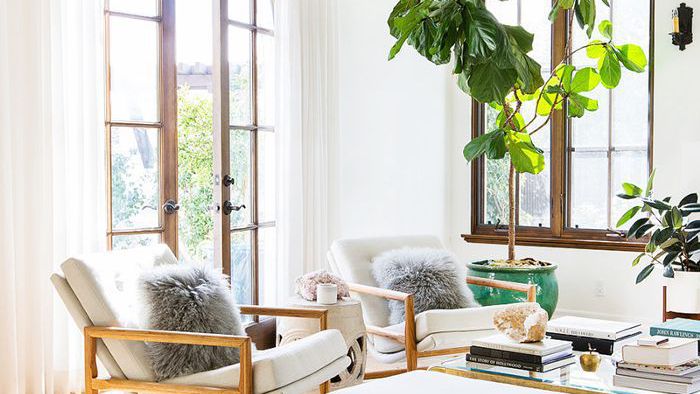 4 Budget Interior Design Ideas
